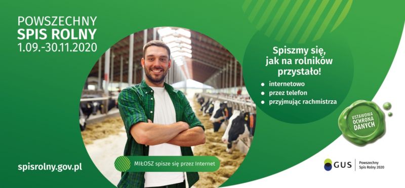 Bez tytułu
