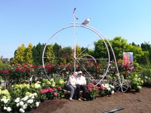 IMG_20200807_112741