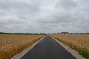 DSC_5613