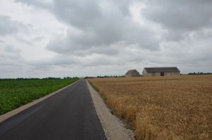 DSC_5623