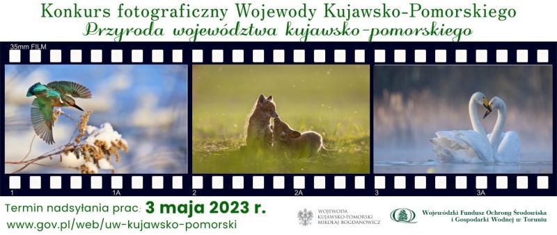 Plakat Przyroda województwa kujawsko-pomorskiego 2023_1