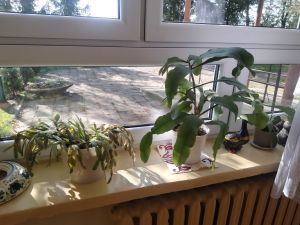 img20230426091915