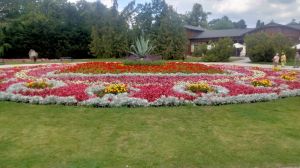 img20240807123739