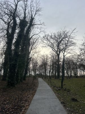 image5