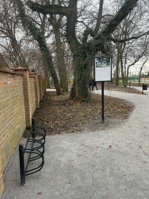 image12