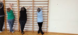 IMG20241121111321