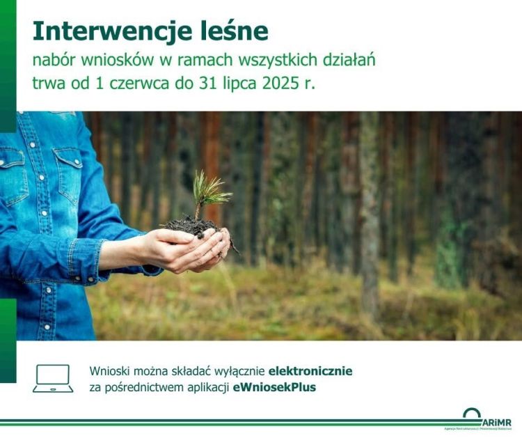 Interwencje leśne 1.06-31.07.2025