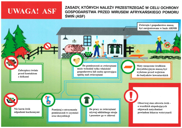 ulotka_stop_ASF_apel-1