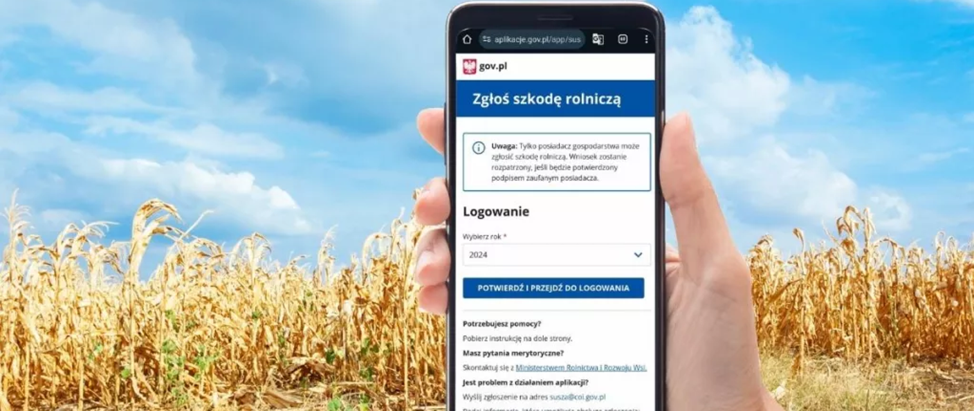 Susza 2024 - wnioski o oszacowanie strat