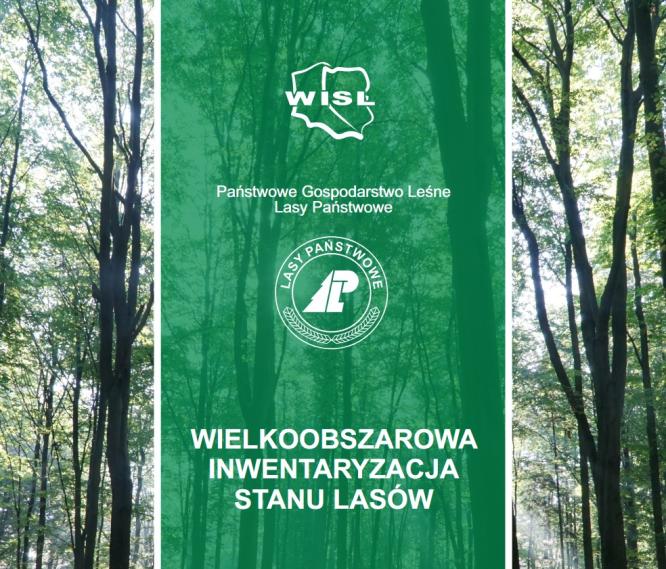 Wielkoobszarowa Inwentaryzacja Stanu Lasu w kraju w latach 2025-2029